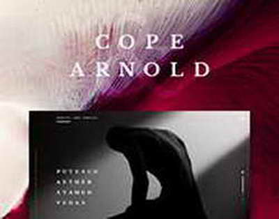 «Харамы жоқ елге көшіп кетіңдер»: Депутат Ермұрат Бапи дүмше діндарларға қылмыстық жауапкершілік сұрады