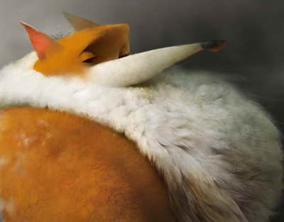 Әр спортшыға – 1,2 млн теңге: Олимпиада алдындағы ірі төлем