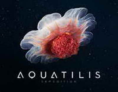 II cəhd başladı